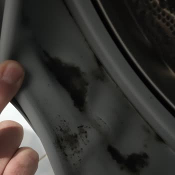 Siemens Çamaşır Makinesinde Tekrarlayan Küflenme Ve Kötü Koku, Ayıplı Ürün İddiası