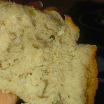 Ekmekte Bulunan Yabancı Maddeler Gıda Güvenliğine Tehdit