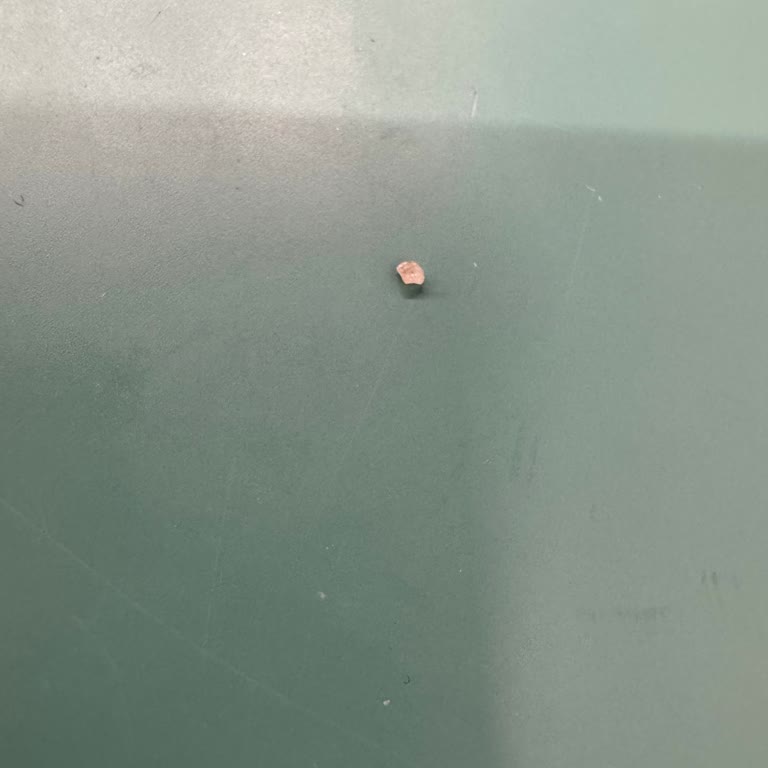 Eti Lifalif Hibiskuslu Yulaf'ta Taş Gibi Sert Parçalar Ve Sağlık Endişesi