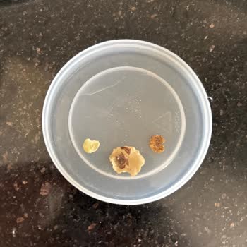 Eti Yulaf Ezmesi İçindeki Yabancı Cisim Bulunmasıyla İlgili Şikayet