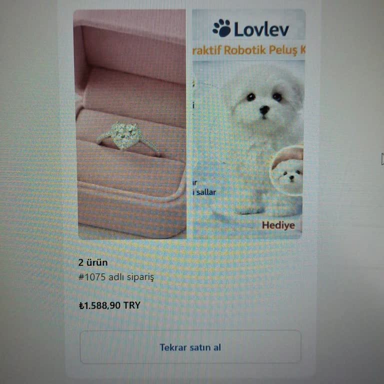 İletişim Bilgileri Kaldırılan Siteden 1589 TL Kredi Kartı İadesi Talebi