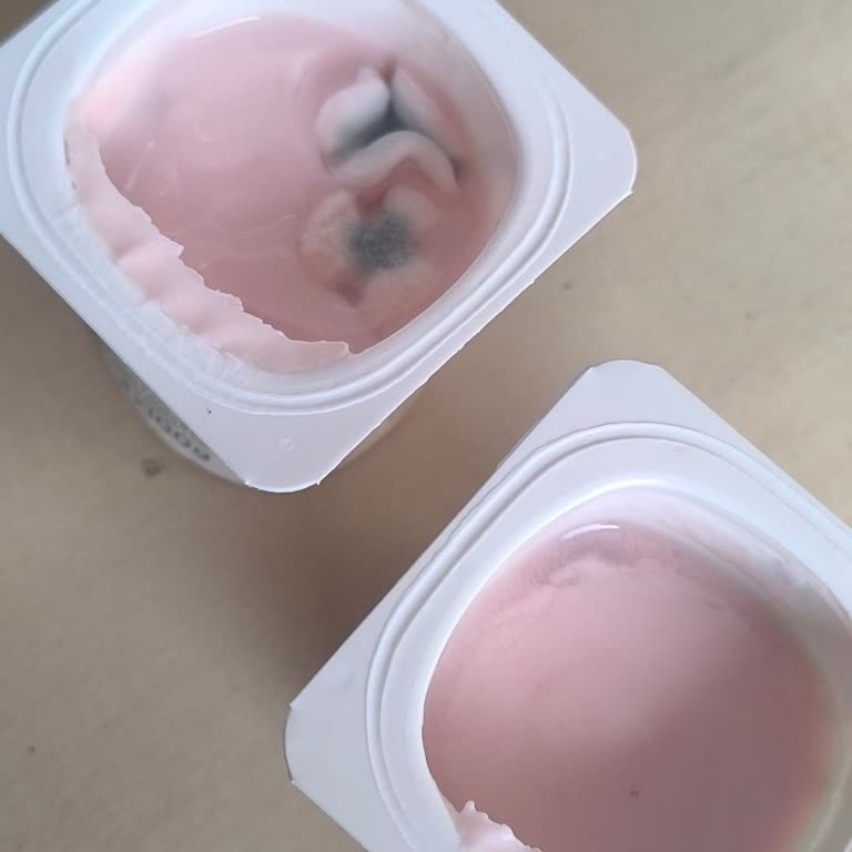 Kemalpaşa BİM’den Alınan Activia Yoğurdunda Küf Tespiti