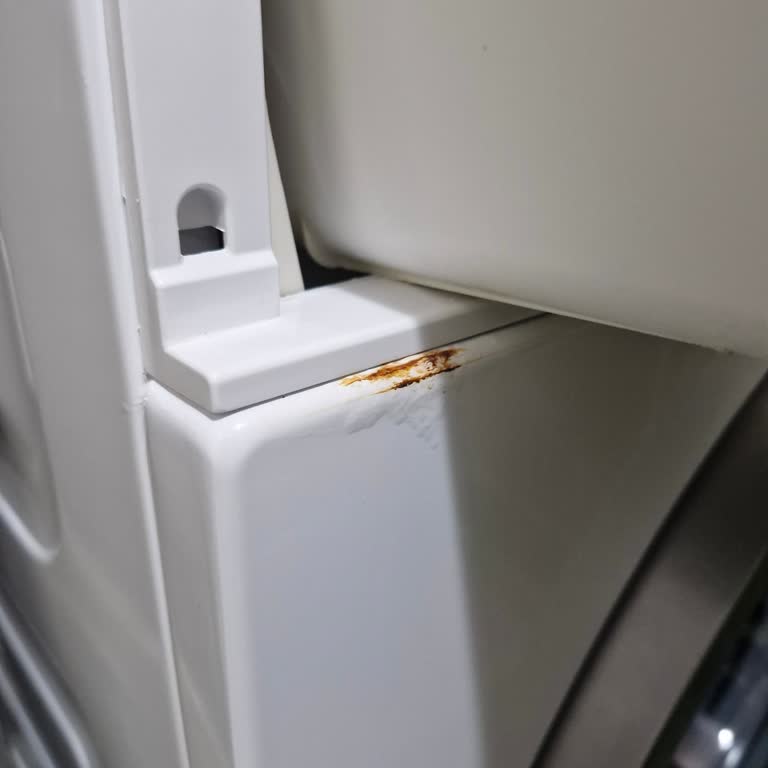 Garanti Kapsamında Deterjan Gözündeki Küflenme İçin Ücretsiz Parça Değişimi Talebi