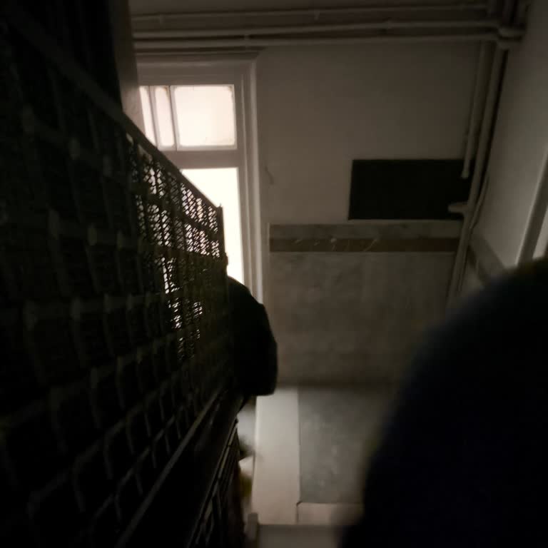 Şişli Başkonsolosluğunda Elektrik Kesintisi Resmi İşlemleri Engelliyor