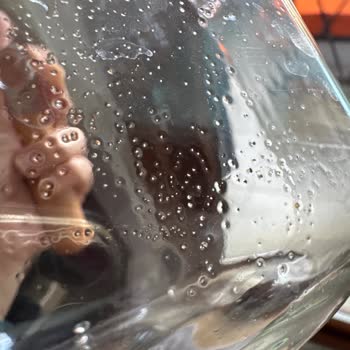 Kocaeli Karamürsel’de Şebeke Suyu Bulanık Ve Kumlu: Acil Temizlik Gerekiyor