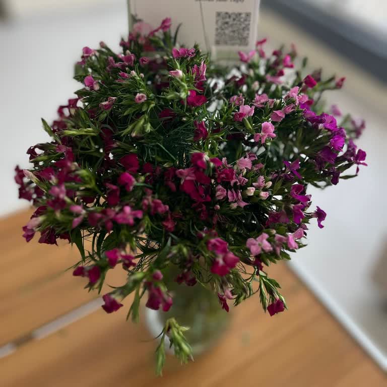 Yanlış Ve Bozuk Çiçek Teslimatı İçin Yetersiz Telafi Teklifi