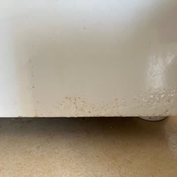 Garanti Kapsamındaki Buzdolabımda Paslanma Sorunu Ve Çözüm Talebi