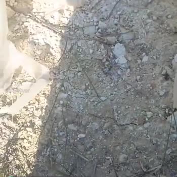 Uption Hesabımı Kullanamamam, Yetersiz Bakiye Diye Mesaj Atmadı!