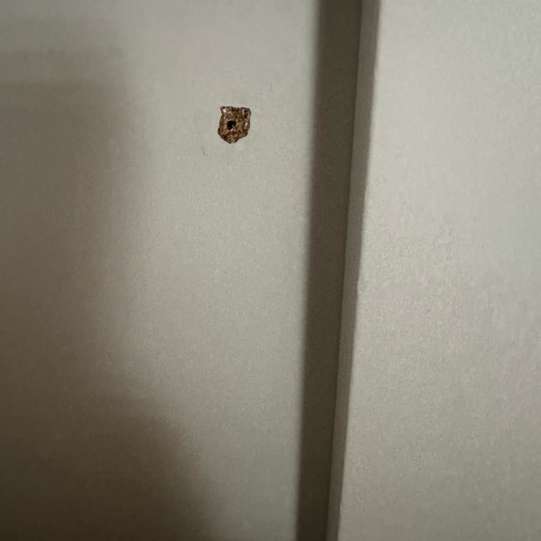 Yanlış Vida Delikleri Ve Cevapsız Servis Nedeniyle Masamın Değişimini Talep Ediyorum