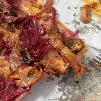 Altınova Berlin Döner’de Tavuk Dönerde Aşırı Deri Ve Yanmış Parçalar Yüzünden Yiyemedim