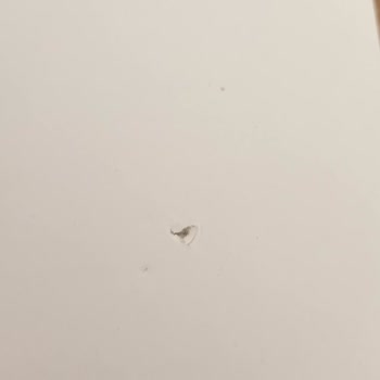 Kırık Ve Delikli Kitap Teslim Alındı: Yenisi İsteniyor