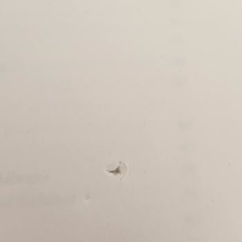 Kırık Ve Delikli Kitap Teslim Alındı: Yenisi İsteniyor