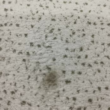 Bohem Borneo Koltukta Hızlı Renk Solması Ve Boya Çözülmesi Garanti Kapsamında Ürün Değişimi Talebi