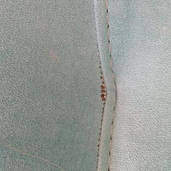 Taşpınar Alışveriş Merkezleri Aslım Elegance Şikayeti