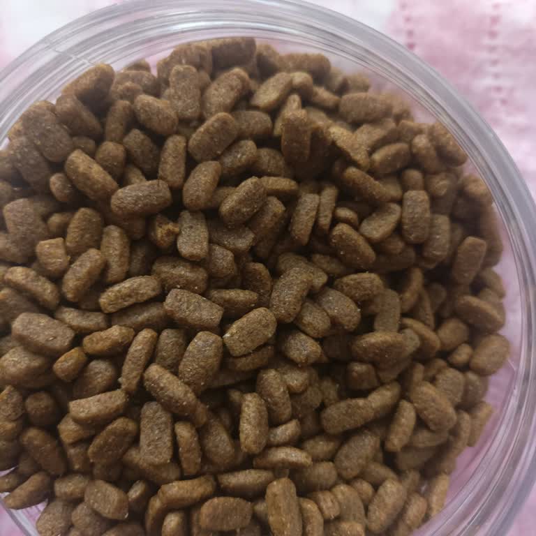 Pro Plan Orijinal Olmayan Kedi Maması Ve Cevapsız Satıcı Nedeniyle Sağlık Sorunu Ve 500 TL Kayıp