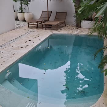 Airbnb Villa in Bali Filthy and Full of Bugs