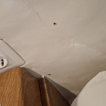 Airbnb Villa in Bali Filthy and Full of Bugs