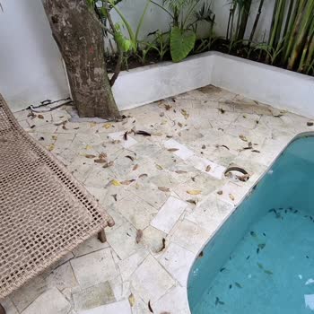 Airbnb Villa in Bali Filthy and Full of Bugs
