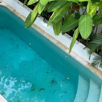 Airbnb Villa in Bali Filthy and Full of Bugs