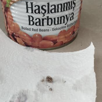 Tukaş Barbunya Konservesinde Taş Ve Kum Bulunması Hijyen İhlali