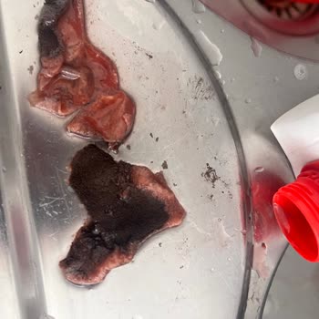 Meysu 1 Litre Karton Suyunda Peçete Benzeri Yabancı Madde