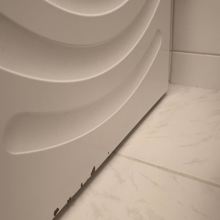 Garanti Kapsamındaki Çamaşır Makinemin Paslanma Sorunu İçin Ücretsiz Onarım Talebi