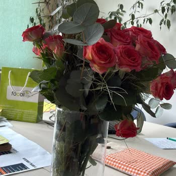 Yanıltıcı Vazo Ve Gecikmeli Teslimat