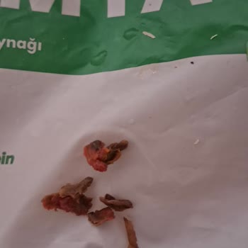 Migros Sanal Market Dondurulmuş Bamya Ürününde Şüpheli Böcek Kontaminasyonu