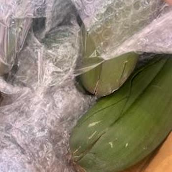 Yurtiçi Kargo Merzifon Şubesinde Kırık Ve Hasarlı Çiçek Gönderimi