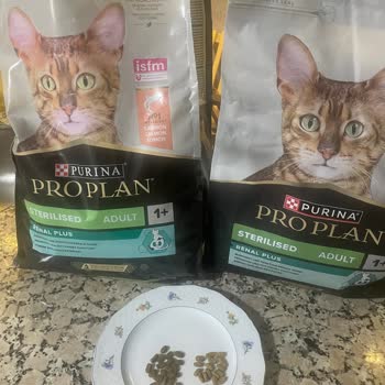 Kedimin Yeni Mamaya Ağzını Bile Açmaması Ve İade Talebi