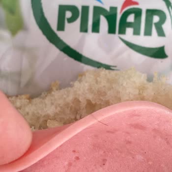 Hindi Salamında Bulunan Kıl Gıda Güvenliğini Sarsıyor