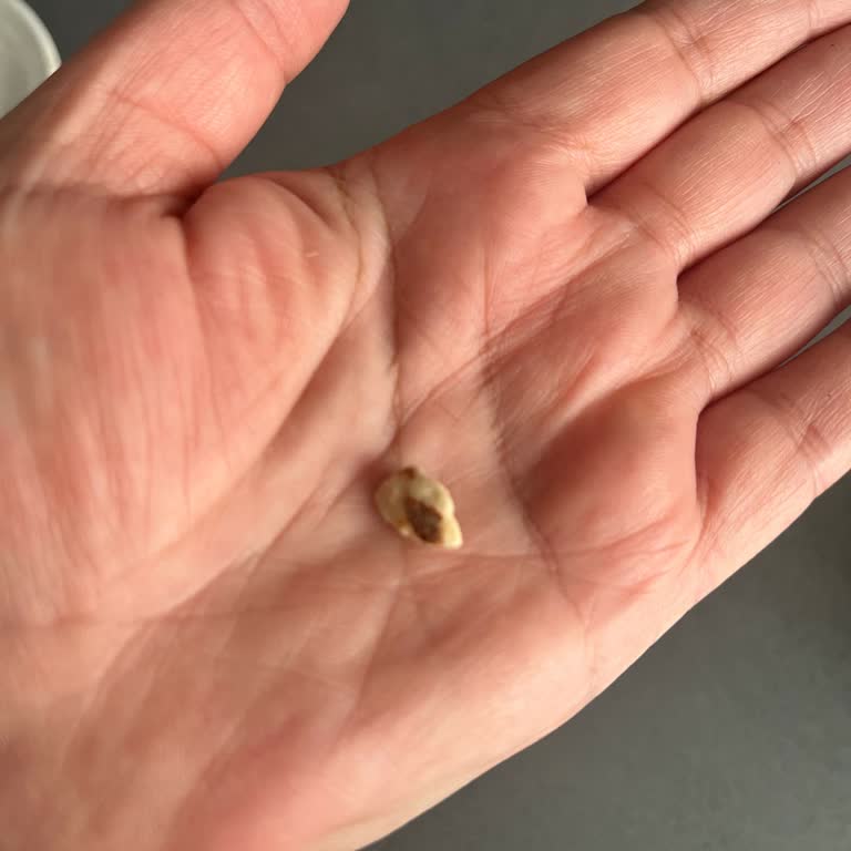 Tarım Kredi Kooperatifleri Ferhatpaşa Şubesi Şikayeti