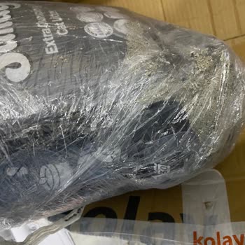 Patlayan Kedi Kumu Nedeniyle Mağduriyet