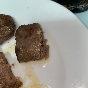 Migros Sancaktepe Yenidoğan Şubesinde Köfte İçinde Kıl Bulunması Hijyen Endişesi