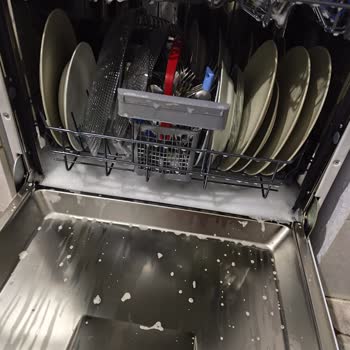 Bulaşık Makinesinde Yıkama Sonrası Su Ve Köpük Kalması, Değişim Talebi