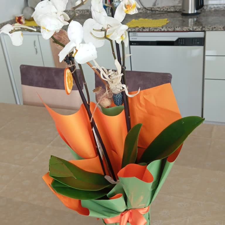 Anne Doğum Günü Çiçeği Geç Ve Solmuş Şekilde Geldi, Sürpriz Bozuldu