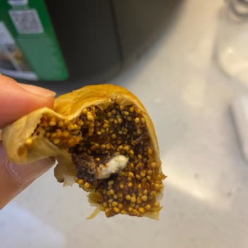 Bebek İçin Aldığım Kuru İncir Küflü Çıktı