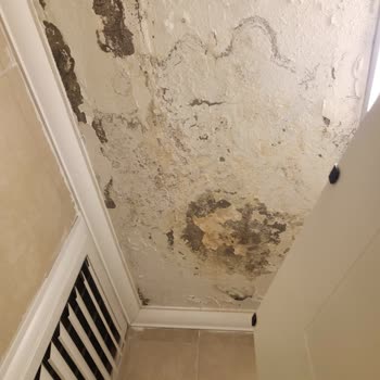 American Life Trabzon Şubesinde Sürekli Öğretmen Değişikliği