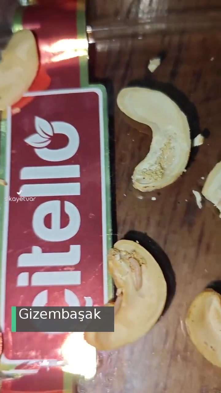 Çitello Kurtlu Kaju! videonun kapak resmi