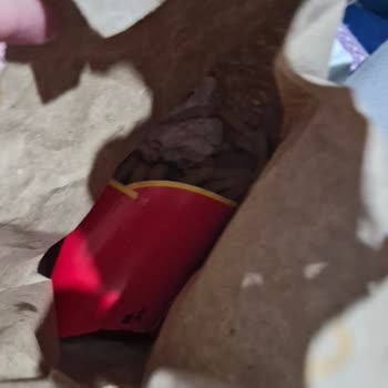 Ödenen 6'lı Nugget Ücretinin İadesi Talebi