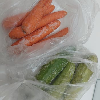 Sebzelik Bölümünde Su Sızıntısı Ve Donma, Garanti Kapsamında Çözüm Talebi