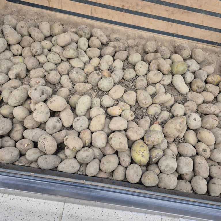 Okul Çıkış Saatlerinde Tek Kasa Ve Bayat Patates Sorunu