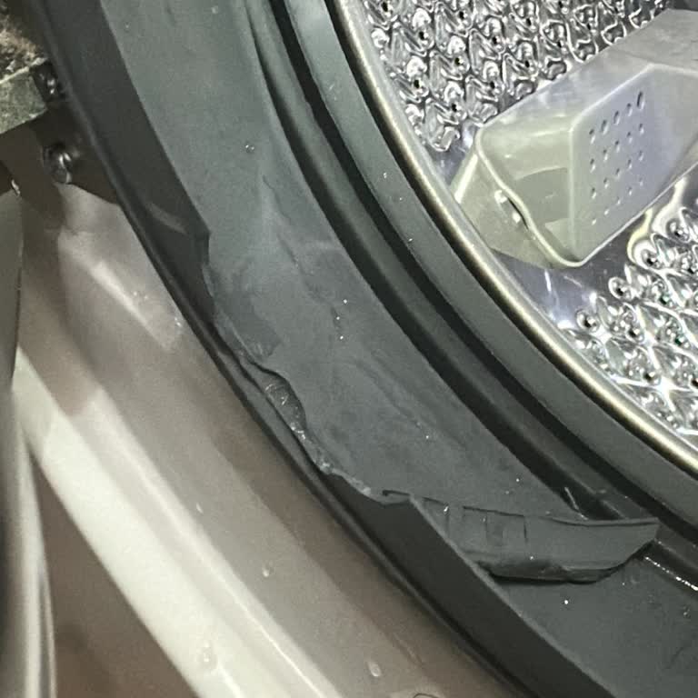 Ek Garanti Kapsamındaki Kapak Körüğü Ücretsiz Değişim Reddi