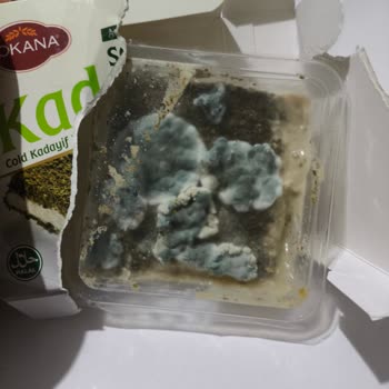 Tokana Mantı Ürünü Açtığımda İçinin Tamamen Küflü Ve Bozuk Olduğunu Gördüm