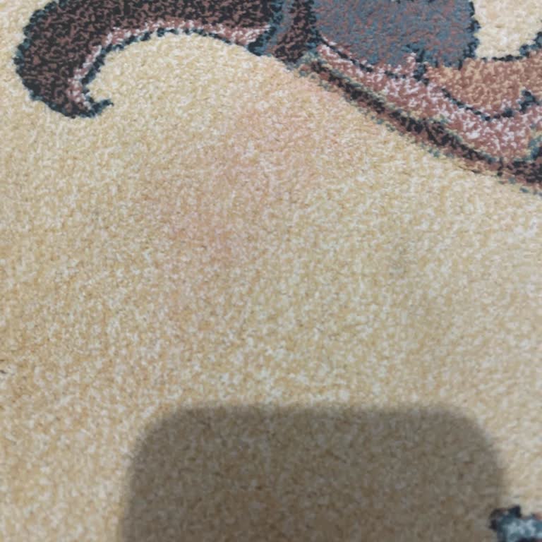 By Titiz Halı Yıkama'dan Memnun Kalmadım!