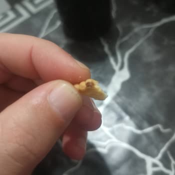 Ülker Haylayf Sandviç Bisküvi'nde Bulunan Bilinmeyen Kahverengi Parça İçin Açıklama Ve Özür Talebi