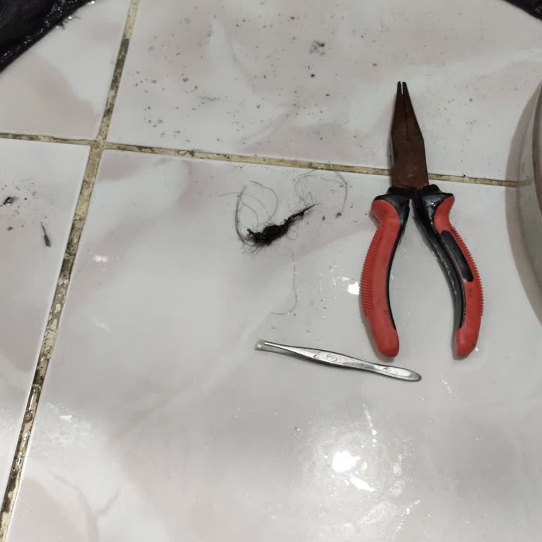 Bosch Çamaşır Makinesinde Tekrarlayan Saç Birikmesi Arızası Ve Garanti Dışı Servis Ücreti