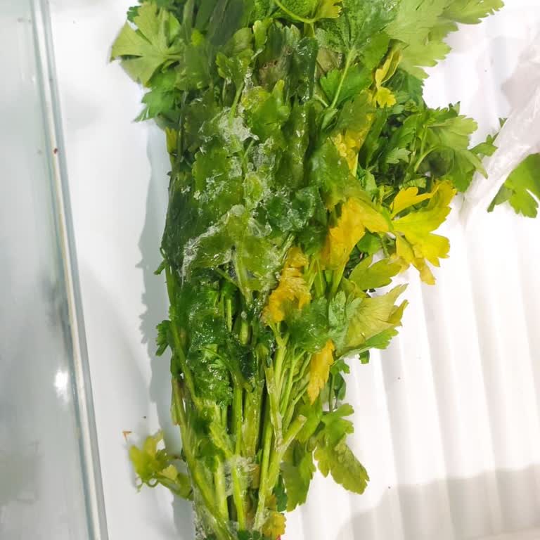 Bosch Buzdolabımda Sürekli Arıza Ve Parça Değişimi, Kalıcı Çözüm Ve Yeni Ürün Talebi