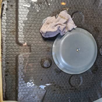 Yeni Fiat Egea Cross Bagajı Su Alıyor: 20 Bin TL Masrafı Yetkili Karşılamalı