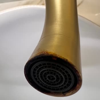 Paslanan Lavabo Bataryası İçin Garanti Kapsamında Yedek Parça Ve Değişim Talebi